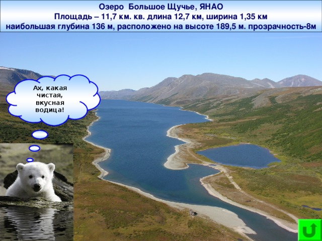 Озеро Большое Щучье, ЯНАО  Площадь – 11,7 км. кв. длина 12,7 км, ширина 1,35 км наибольшая глубина 136 м, расположено на высоте 189,5 м. прозрачность-8м Ах, какая чистая, вкусная водица!