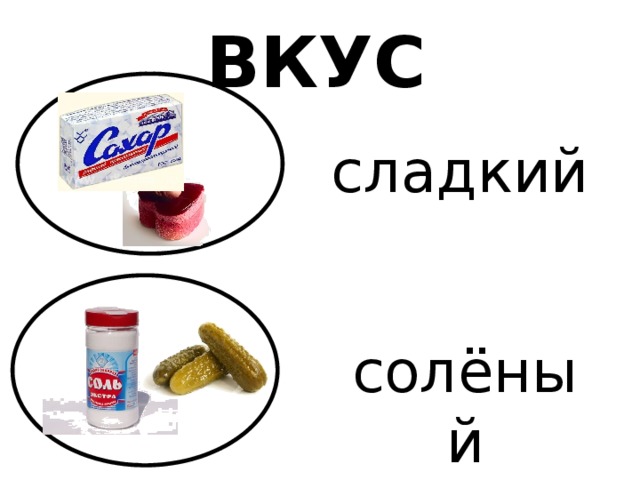 ВКУС сладкий Что общего у всех предметов на картинке? По какому признаку объединены предметы? солёный