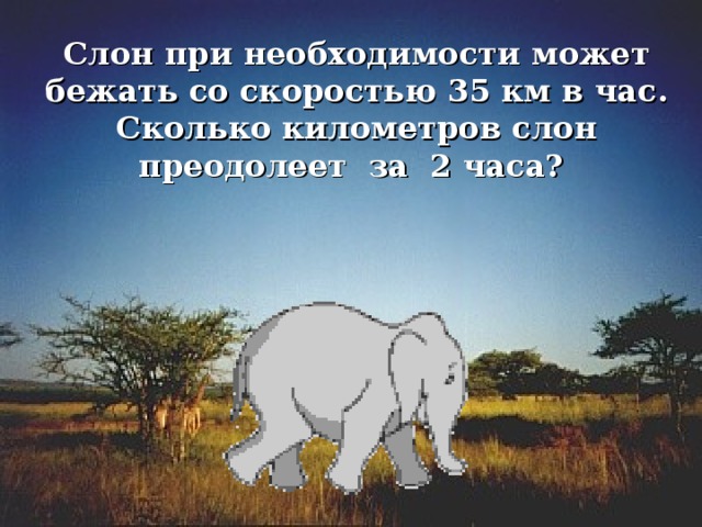 Слон при необходимости может бежать со скоростью 35 км в час. Сколько километров слон преодолеет за 2 часа?