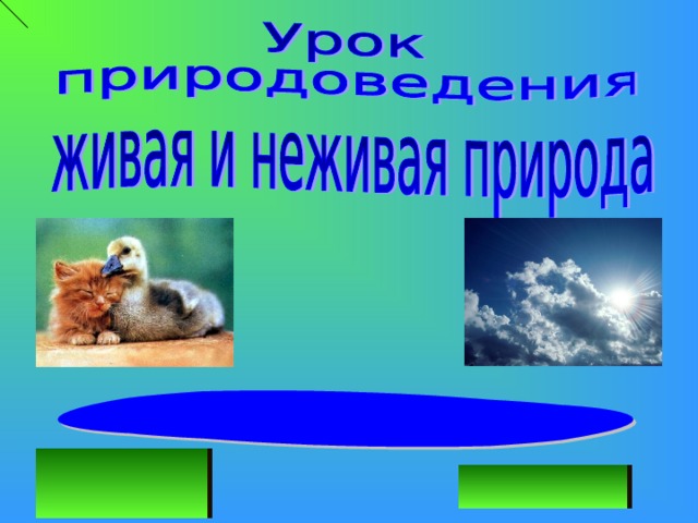 Как называется прием изображения неживой природы и животных как людей