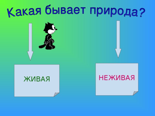 НЕЖИВАЯ ЖИВАЯ