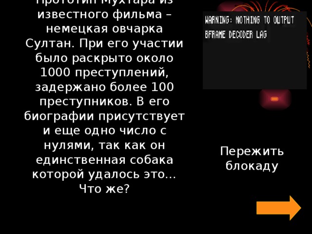 Прототип Мухтара из известного фильма – немецкая овчарка Султан. При его участии было раскрыто около 1000 преступлений, задержано более 100 преступников. В его биографии присутствует и еще одно число с нулями, так как он единственная собака которой удалось это… Что же?     Пережить блокаду