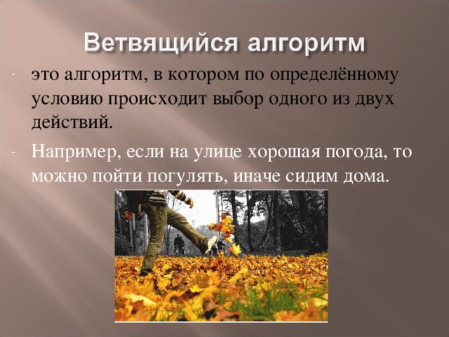 это алгоритм,  в котором по определённому условию происходит выбор одного из двух действий. Например, если на улице хорошая погода, то можно пойти погулять, иначе сидим дома.