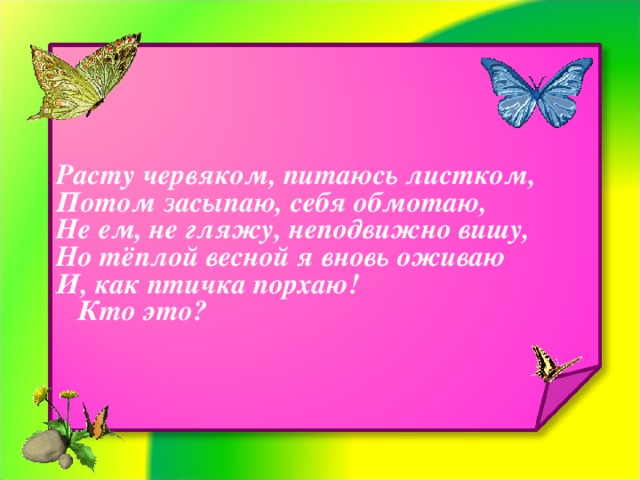 Расту червяком, питаюсь листком, Потом засыпаю, себя обмотаю, Не ем, не гляжу, неподвижно вишу, Но тёплой весной я вновь оживаю И, как птичка порхаю!  Кто это?