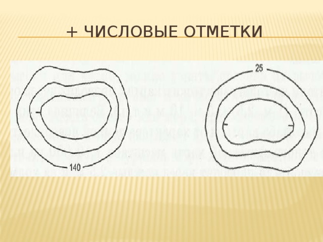 + числовые отметки