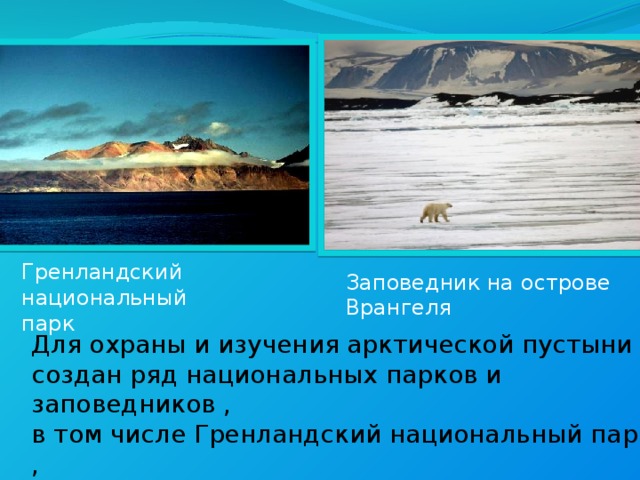 Название заповедников расположенных в арктических пустынях. Заповедник в арктической пустыне России остров Врангеля. Зона арктических пустынь заповедников и национальных парков. Заповедник или национальный парк зоны арктических пустынь. Заказник в арктической пустыне.