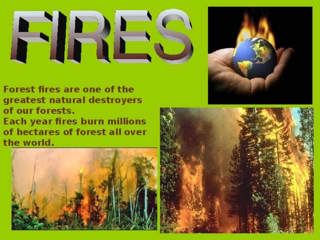 Forest fires are one of the greatest natural destroyers of our forests. Each year fires burn millions of hectares of forest all over the world.