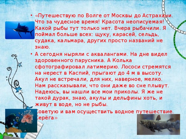 «Путешествую по Волге от Москвы до Астрахани. Что за чудесное время! Красота неописуемая! Какой рыбы тут только нет. Вчера рыбачили. Я поймал больше всех: щуку, карасей, сельдь, судака, кальмара, других просто названий не знаю. А сегодня ныряли с аквалангами. На дне видел здоровенного парусника. А Колька сфотографировал латимерию. Лососи стремятся на нерест в Каспий, прыгают до 4 м в высоту. Акул не встречали, для них, наверное, мелко. Нам рассказывали, что они даже во сне плывут. Надеюсь, вы нашли все мои приколы. Я же не такой дурак, знаю, акулы и дельфины хоть, и живут в воде, но не рыбы. Советую и вам осуществить водное путешествие. Серёга»