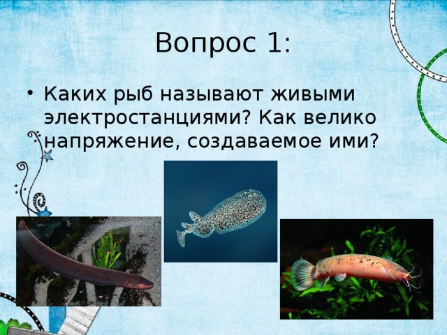 Вопрос 1: