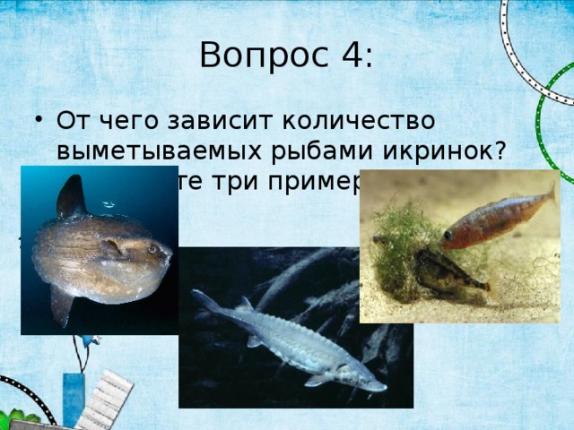 Вопрос 4: