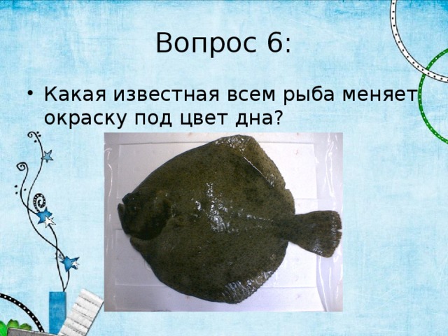 Вопрос 6: