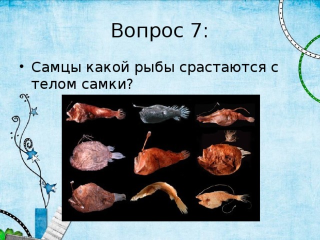 Вопрос 7: