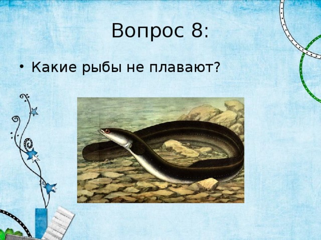 Вопрос 8: