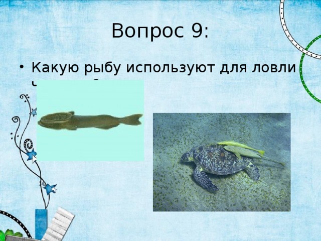 Вопрос 9: