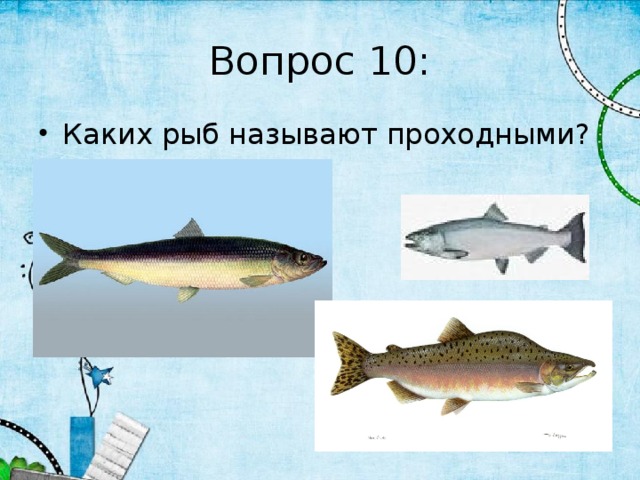 Вопрос 10: