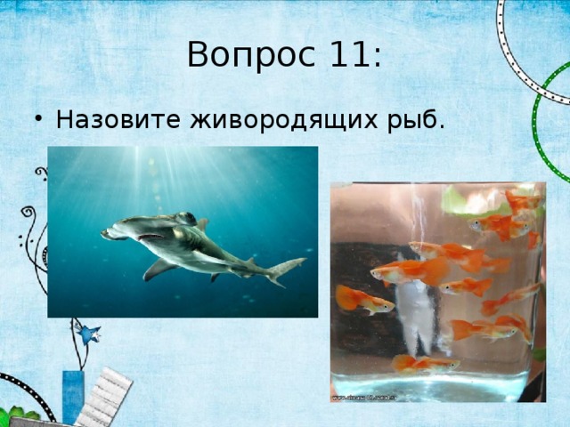 Вопрос 11: