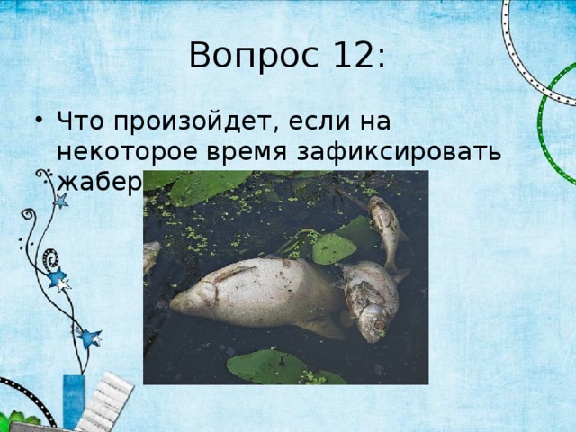 Вопрос 12: