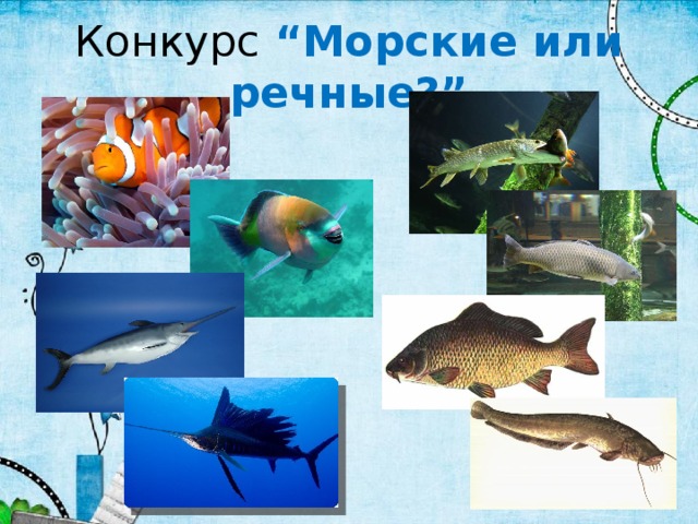 Конкурс “Морские или речные?”