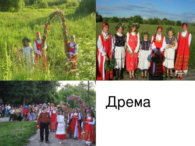 Дрема