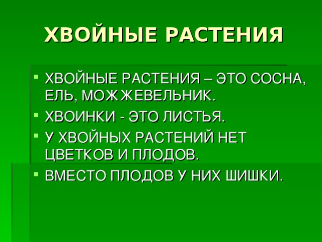 ХВОЙНЫЕ РАСТЕНИЯ