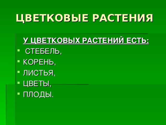 ЦВЕТКОВЫЕ РАСТЕНИЯ  У ЦВЕТКОВЫХ РАСТЕНИЙ ЕСТЬ: