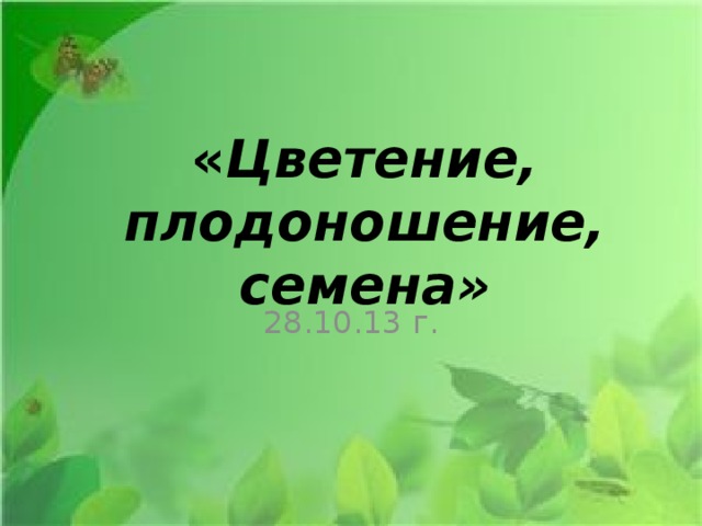 « Цветение, плодоношение, семена» 28.10.13 г.