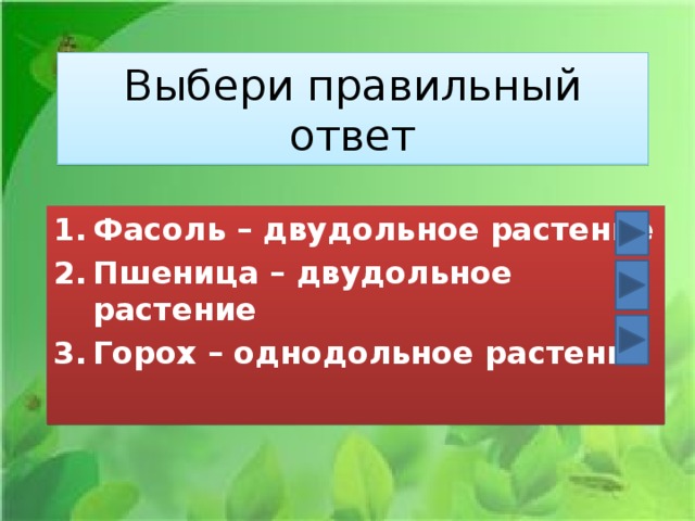 Выбери правильный ответ