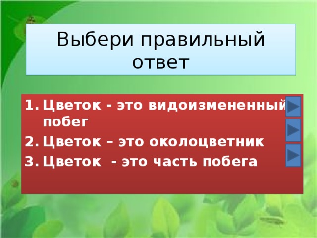 Выбери правильный ответ