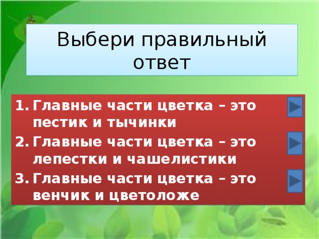 Выбери правильный ответ