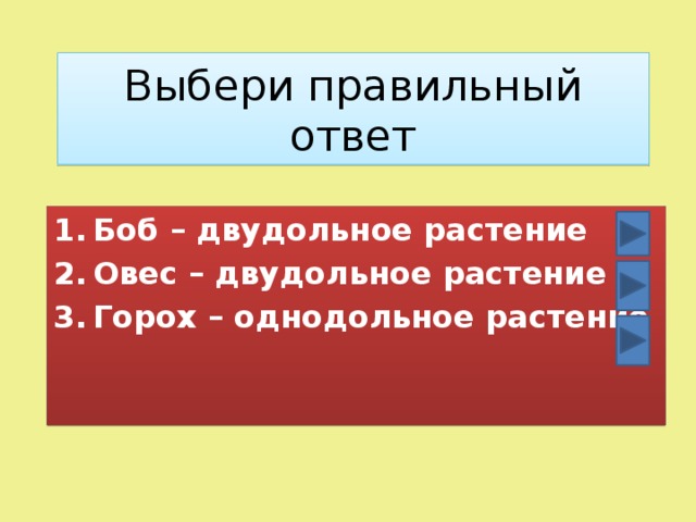 Выбери правильный ответ