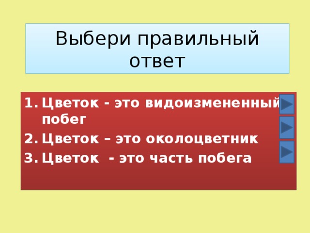 Выбери правильный ответ