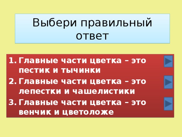 Выбери правильный ответ