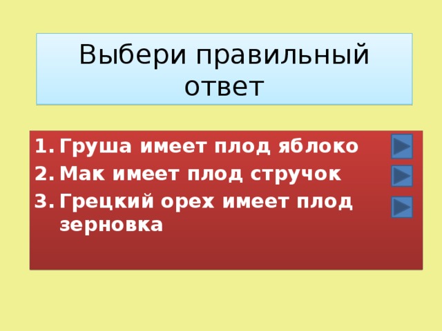 Выбери правильный ответ