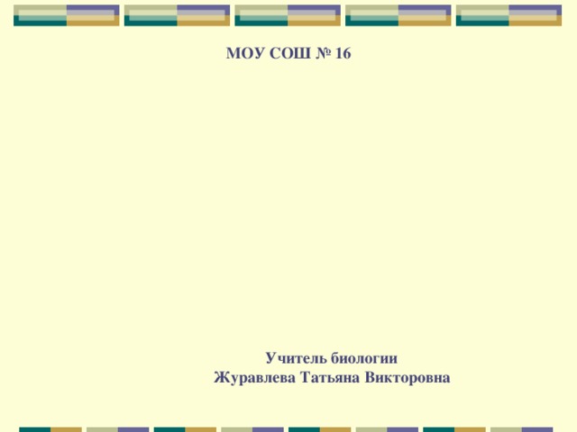 МОУ СОШ № 16 Учитель биологии  Журавлева Татьяна Викторовна