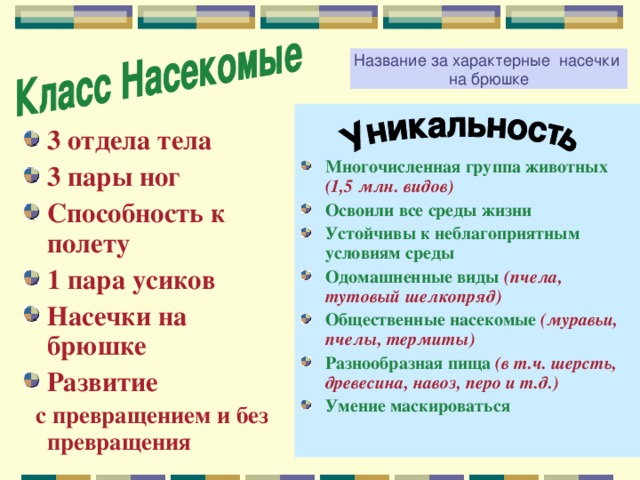 Название за характерные насечки на брюшке  Многочисленная группа животных (1,5 млн. видов) Освоили все среды жизни Устойчивы к неблагоприятным условиям среды Одомашненные виды (пчела, тутовый шелкопряд) Общественные насекомые (муравьи, пчелы, термиты) Разнообразная пища (в т.ч. шерсть, древесина, навоз, перо и т.д.) Умение маскироваться  3 отдела тела 3 пары ног Способность к полету 1 пара усиков Насечки на брюшке Развитие  с превращением и без превращения