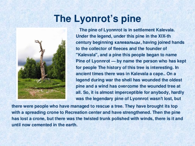 The Lyonrot’s pine  The pine of Lyonnrot is in settlement Kalevala. Under the legend, under this pine in the XIX-th century beginning калевальцы, having joined hands to the collector of fleeces and the founder of 