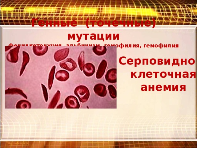 Генные (точечные) мутации  фенилкетонурия, альбинизм, гемофилия, гемофилия Серповидно –  клеточная  анемия