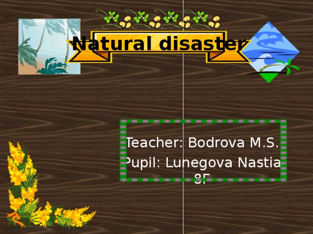 Natural disaster Teacher: Bodrova M.S. Pupil: Lunegova Nastia 8Г