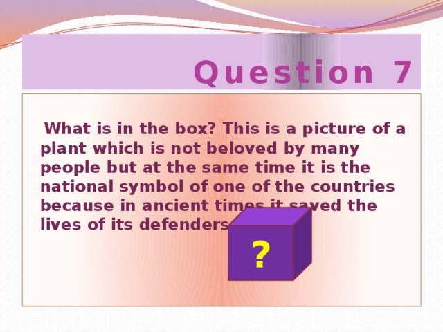 Question 7  What is in the box? This is a picture of a plant which is not beloved by many people but at the same time it is the national symbol of one of the countries because in ancient times it saved the lives of its defenders. ?