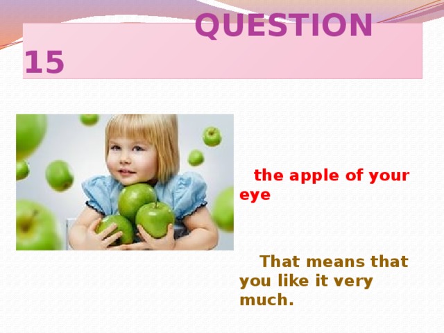 QUESTION 15  the apple of your eye    That means that you like it very much.