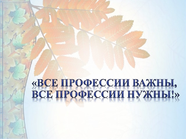 «Все профессии важны, все профессии нужны!»