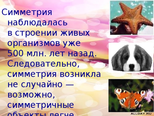 Симметрия наблюдалась в строении живых организмов уже 500 млн. лет назад. Следовательно, симметрия возникла не случайно — возможно, симметричные объекты легче воспринимать живым существам.