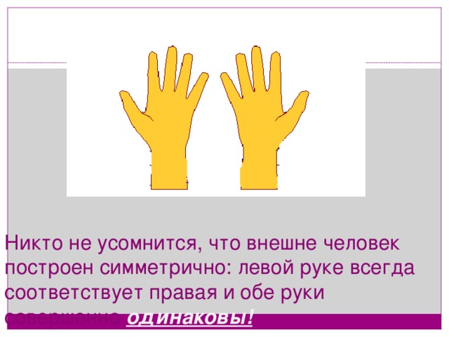 Никто не усомнится, что внешне человек построен симметрично: левой руке всегда соответствует правая и обе руки совершенно одинаковы!