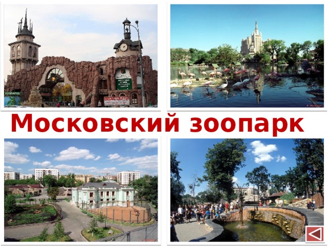 Московский зоопарк