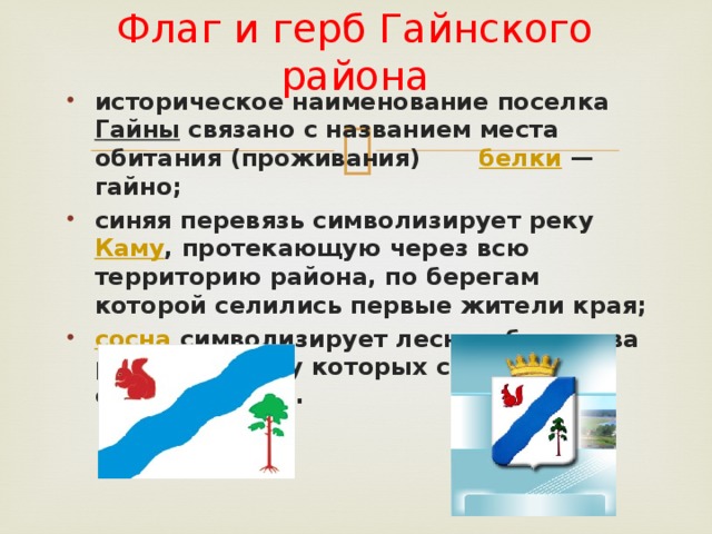 Флаг и герб Гайнского района