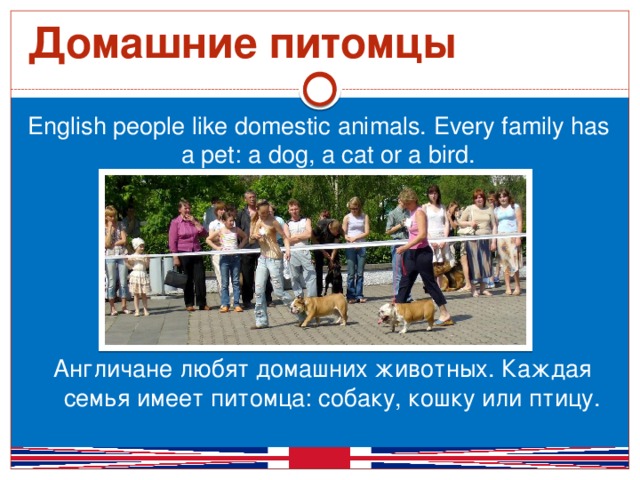 Домашние питомцы English people like domestic animals. Every family has a pet: a dog, a cat or a bird. Англичане любят домашних животных. Каждая семья имеет питомца: собаку, кошку или птицу.