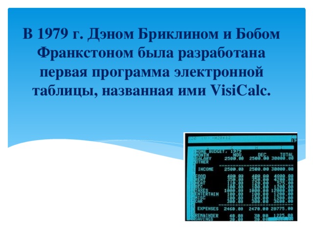 В 1979 г. Дэном Бриклином и Бобом Франкстоном была разработана первая программа электронной таблицы, названная ими VisiCalc.