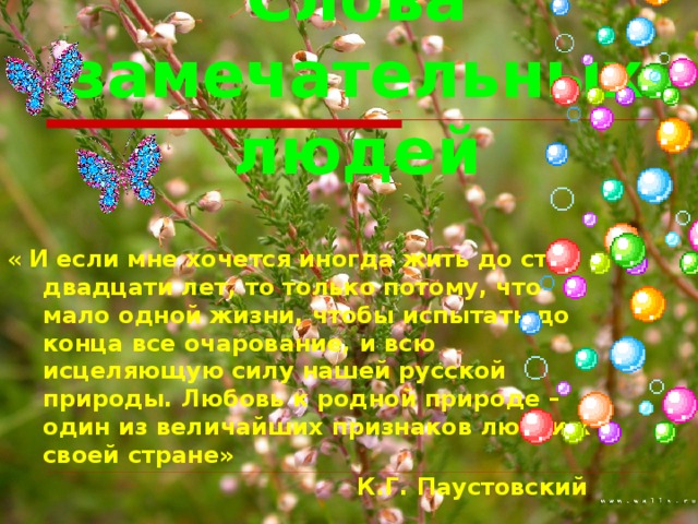 Слова замечательных людей « И если мне хочется иногда жить до ста двадцати лет, то только потому, что мало одной жизни, чтобы испытать до конца все очарование, и всю исцеляющую силу нашей русской природы. Любовь к родной природе – один из величайших признаков любви к своей стране»  К.Г. Паустовский