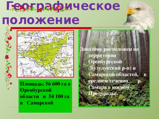 Географическое положение   Заказник расположен на территории Оренбургской (Бузулукский р-н) и Самарской областей, в среднем течении р. Самара в южном Предуралье. Площадь: 56 600 га в Оренбурской области и 54 100 га в Самарской