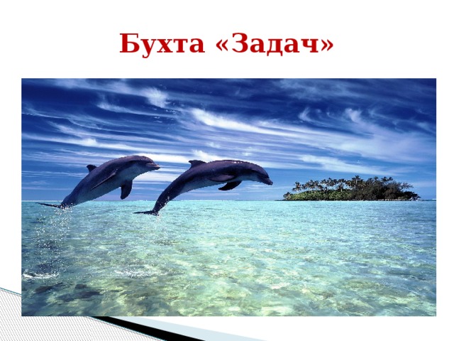 Бухта «Задач»